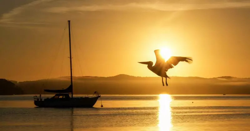 Hunter Photography Prize Finalists Announced: Vote for People's Choice