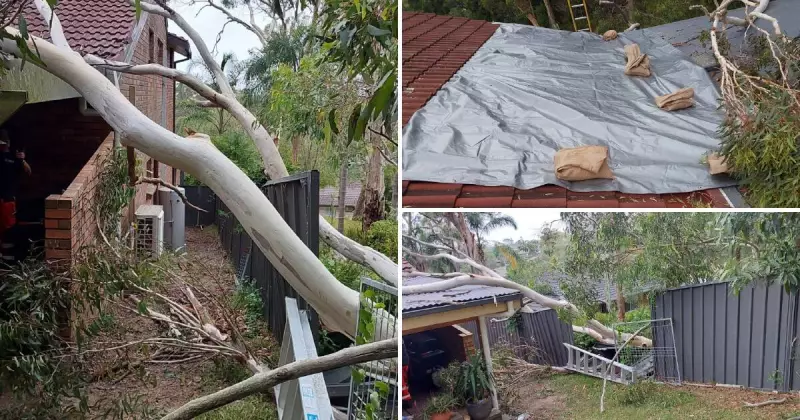 Hunter Storm Damage: 41 SES Jobs as Thunderstorms Batter Region