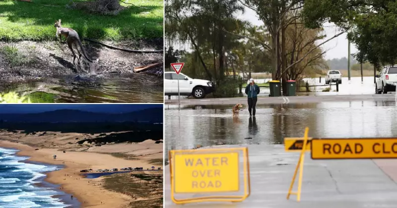 Hunter's 2025 Weather Extremes: Heat and Rainfall Records Shattered