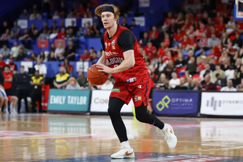 Jaron Rillie's NBL Dream: Studying Games Until Sleep Led to Perth Wildcats Spot