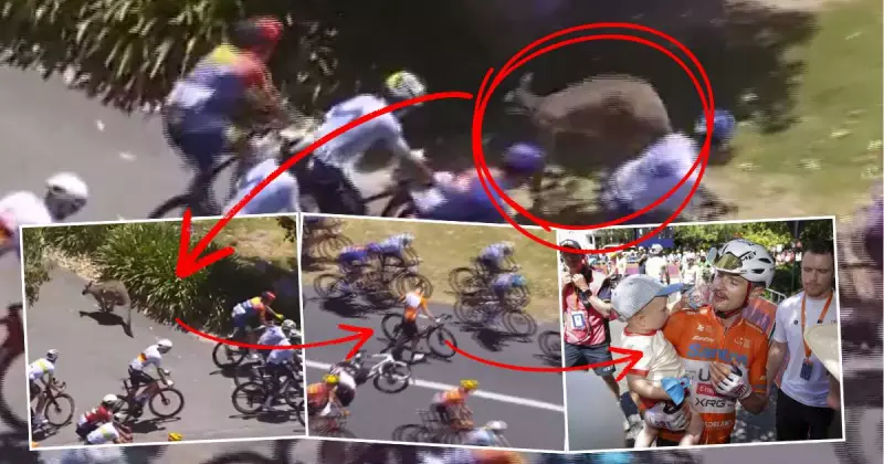 Kangaroo Crash Can't Stop Vine's Tour Down Under Triumph