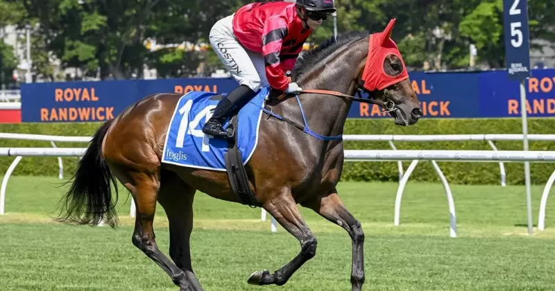 Kensington Tips & Preview: Unleashing Tipped to Win on Wednesday