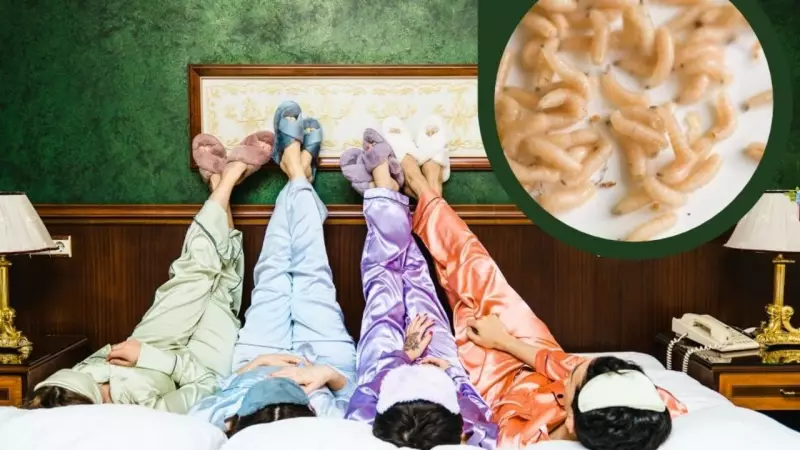 Maggot Nightmare: Cairns Mum's Girls' Night In Turns to Horror Scene