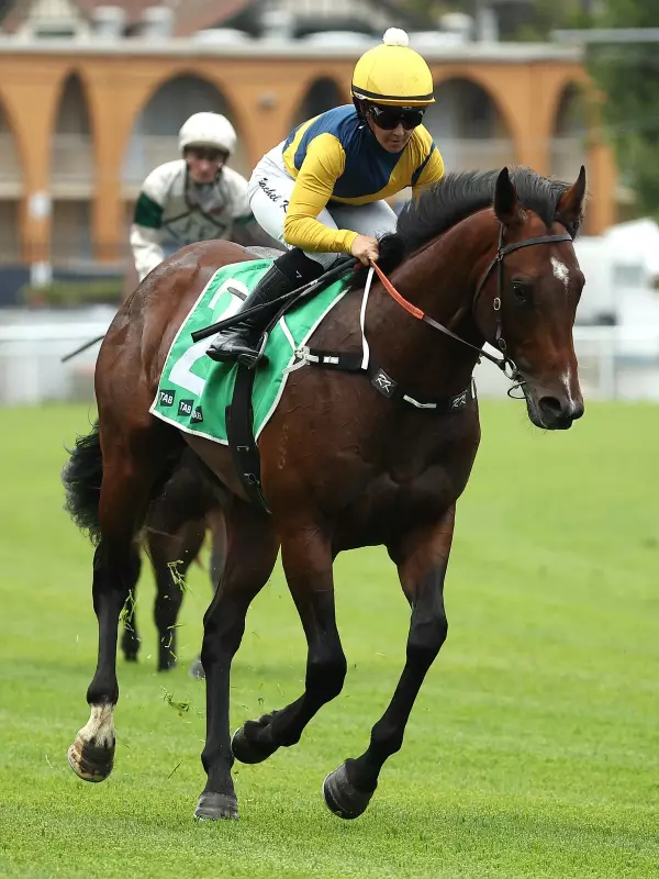 Magic Millions Favourite Warwoven Lame Ahead of $3M Classic