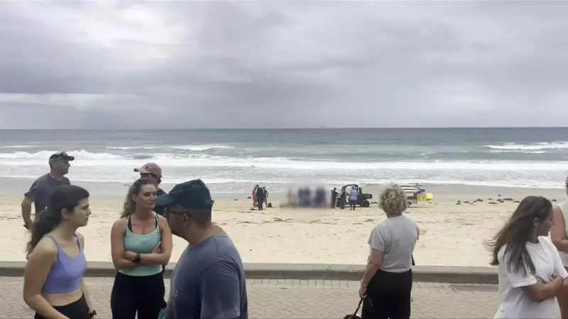 Man in Critical Condition After Sydney Shark Attack, Third Incident in Two Days