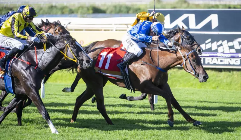 Mighty Mare Mahdi Girl's Fourth Straight Win & La Trice Stakes Thriller