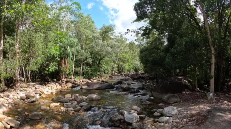 Mother's Plea to Council Over Swim Spot Danger Before Tragic Deaths