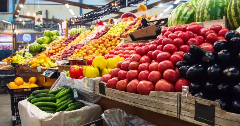 Newcastle Readers Voice Concerns Over Food Security, Disability Access, and Global Politics