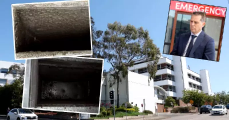 NSW Government Intervenes in Mater Hospital Mould Crisis, Criticises Private Partner