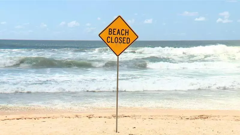 Perfect Storm Conditions Blamed for NSW Shark Attack Cluster