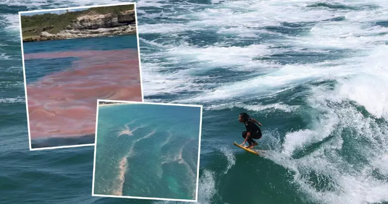 Red Tide Alert: Algae Bloom Sparks Warnings for Hunter Beaches Amid Heatwave