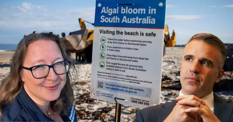 SA Govt Accused of Halting Algal Bloom Probe Until After Election