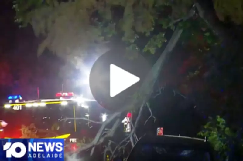 SA's 10 News Daily Video to Launch in 2026, Boosting Local Journalism