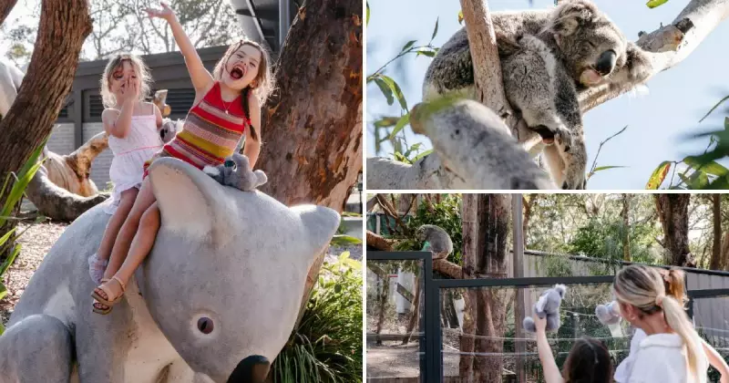 School Holiday Boom: Hunter's Tourism Thrives with Koalas, Karaoke & Surf