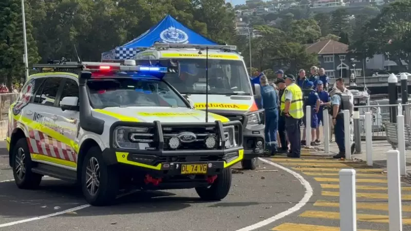 Shark Attack & Cliff Fall: NSW Coast Searches Resume After Critical Incidents