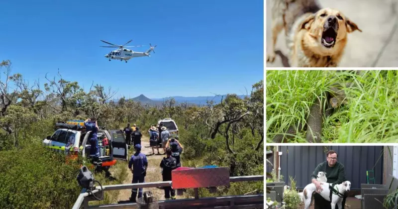 Snake Bite Emergency: Doctors Warn as Summer Risks Rise, But Dogs Still Top Injury Cause