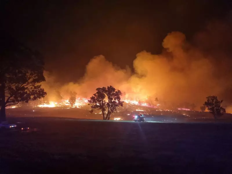 State of Disaster Declared as Victoria Battles Catastrophic Bushfires