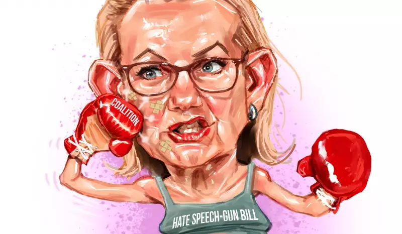 Sussan Ley's criticism of Albanese may backfire, warns political analyst