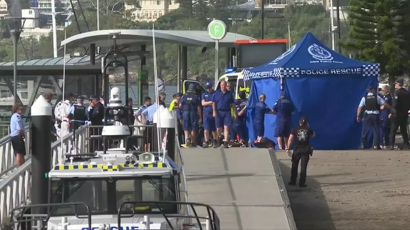 Sydney Harbour shark attack: 12-year-old fights for life after vicious bite