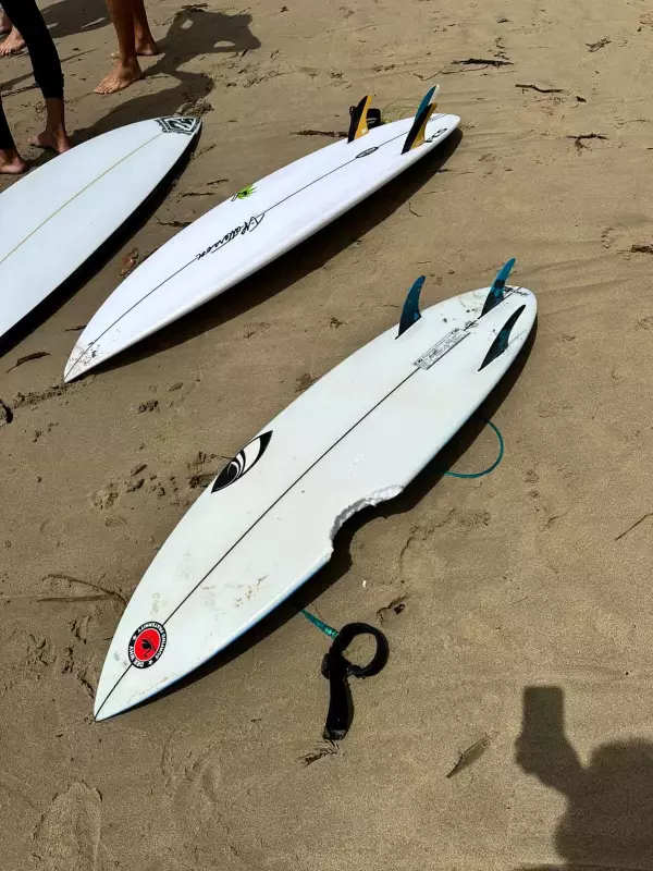 Sydney shark attacks: 11-year-old escapes unharmed, 12-year-old hospitalised