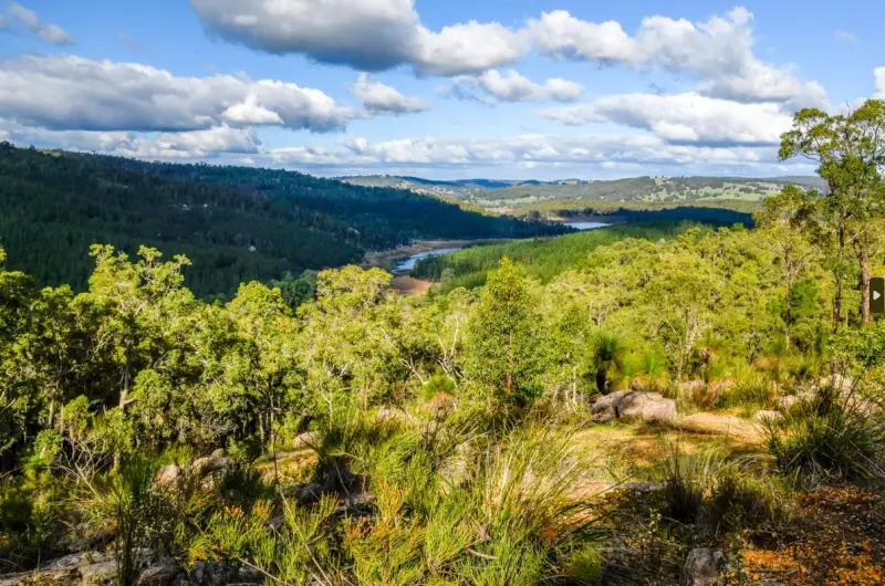 Teens Face Court Over Alleged Assault and Theft at Harvey Dam Campsite