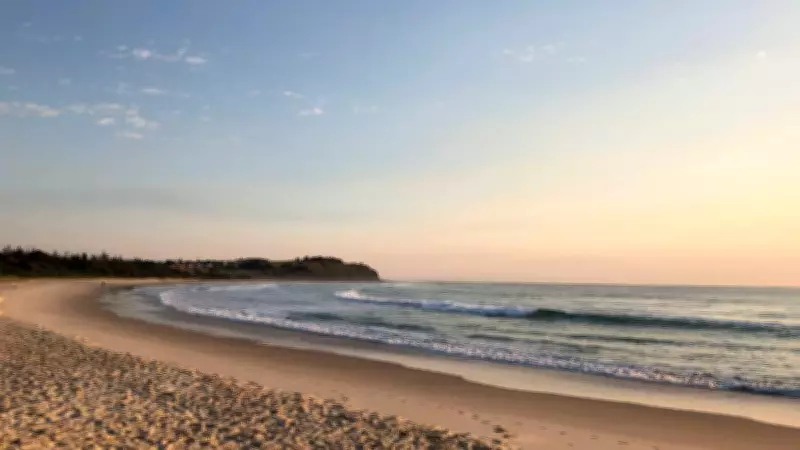Three NSW Beaches Closed After Shark Knocks Surfer Off Board
