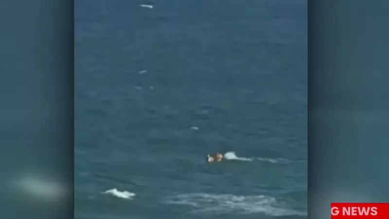 Tourist in 20s dies in Gold Coast rip, fifth drowning this festive season