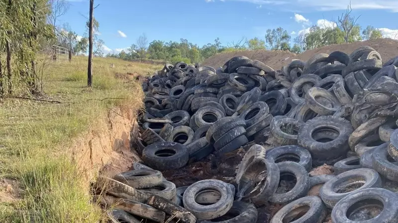 Townsville Dumping Crusader Warns $177M Fund 'Not a Lot of Money'