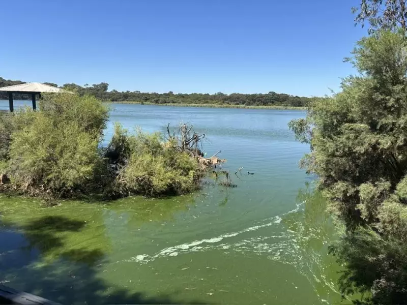 Toxic Algal Blooms Force Closure of Perth's Lake Gwelup and Jackadder Lake