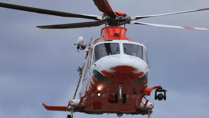 Tragic Accident Claims Life of 64-Year-Old Farmer in Beech Forest