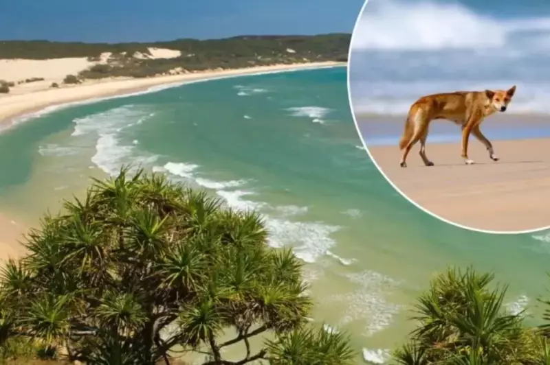 Tragic Discovery on K'gari: Woman Found Dead on Fraser Island