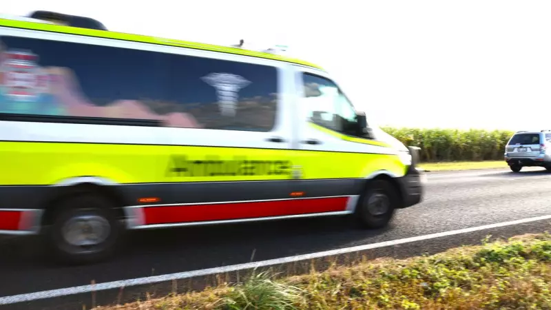 Truck Driver Hospitalised After Striking Beast on Bruce Highway