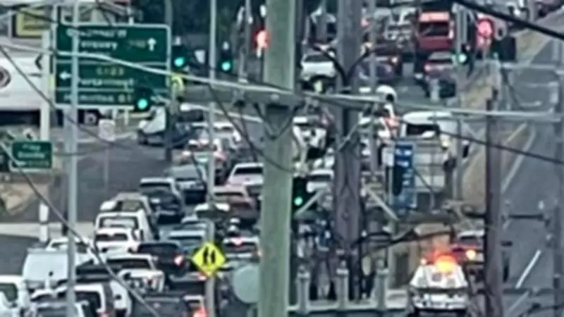 Two Arrested After Major Police Operation in Geelong's Newtown