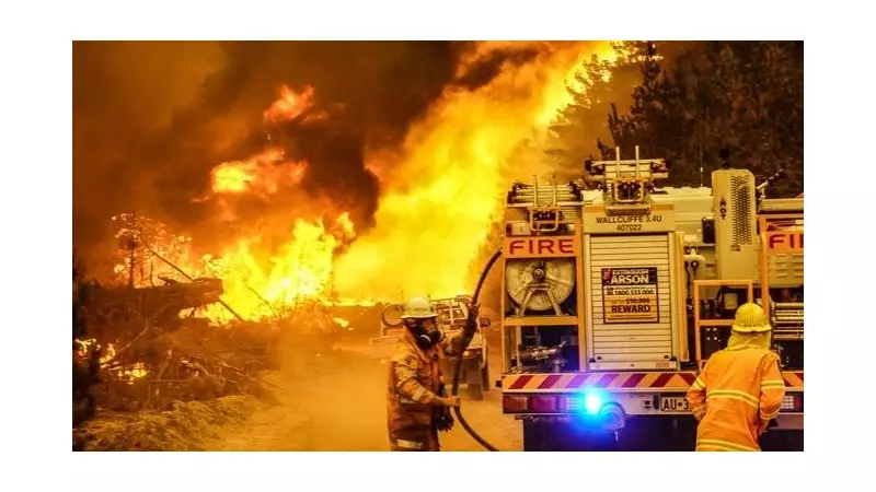 Victorian Bushfire Devastation: Complacency Fuels Crisis as Fires Rage
