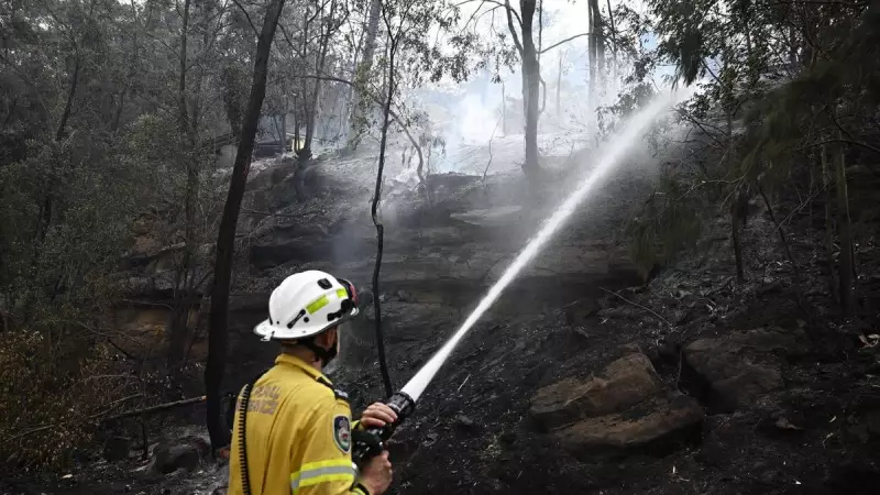 WA Firefighters Find Two Joey Survivors Under Burnt Tree After Boddington Blaze