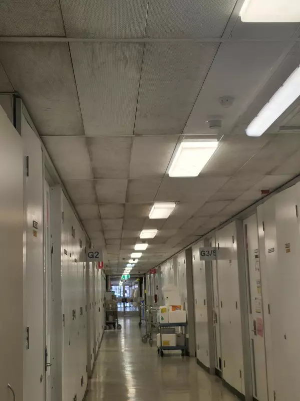 WA Hospital Audit Exposes Hundreds of Leaks, Forcing Government Action