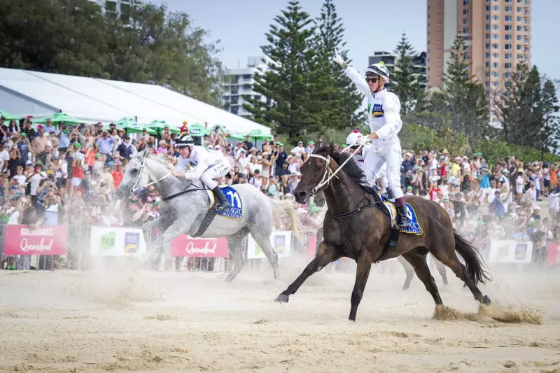 War Machine Draws Perfectly for Magic Millions 2YO Classic
