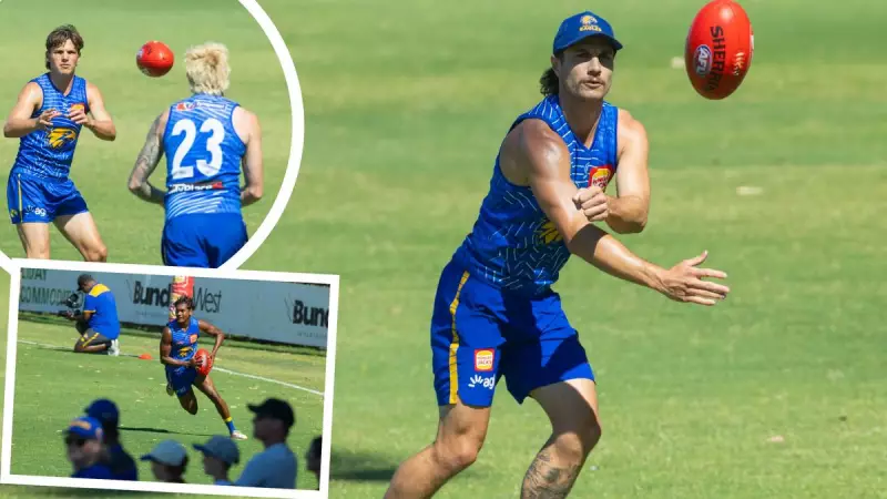 West Coast Eagles Training Update: Liam Baker Returns, New Banfield Joins Session