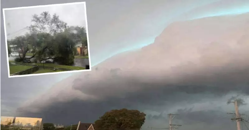 Wild Storm Cuts Power to Thousands in Newcastle, Triggers Flash Flooding