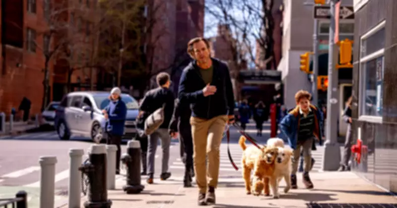 Will Arnett and Bradley Cooper Explore Comedy as Therapy in New Film