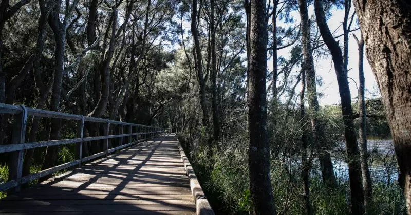 Wollongong nude sunbather escapes conviction after berating jogger near teens