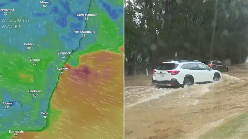 Woman dies after tree branch hits car on Macquarie Pass in NSW wild weather