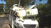 Adelaide man survives as massive gum tree crushes his campervan