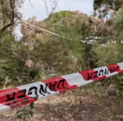 Bayswater Storm Tree Loss: Council Rejects Call for Extra 110 Replacements