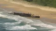 Canadian tourist, 19, found dead near dingoes on K'gari (Fraser Island)
