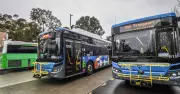 Canberra's New Bus Timetable Cuts 180+ Services to Tackle Reliability Amid Roadworks