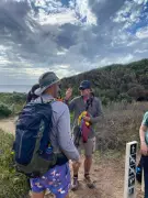 Cape to Cape Track Tips: Expert Hiker Cameron Wilson's Essential Guide