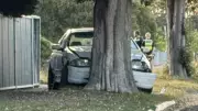 Car Mounts Nature Strip and Crashes into Tree in Corio Collision