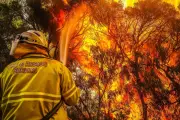 Collie Man Faces Arson Charges After Allegedly Setting Multiple Bushfires