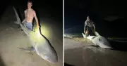 Corrimal Anglers Land Large Bull Shark at Wollongong Beach Amid NSW Attack Cluster